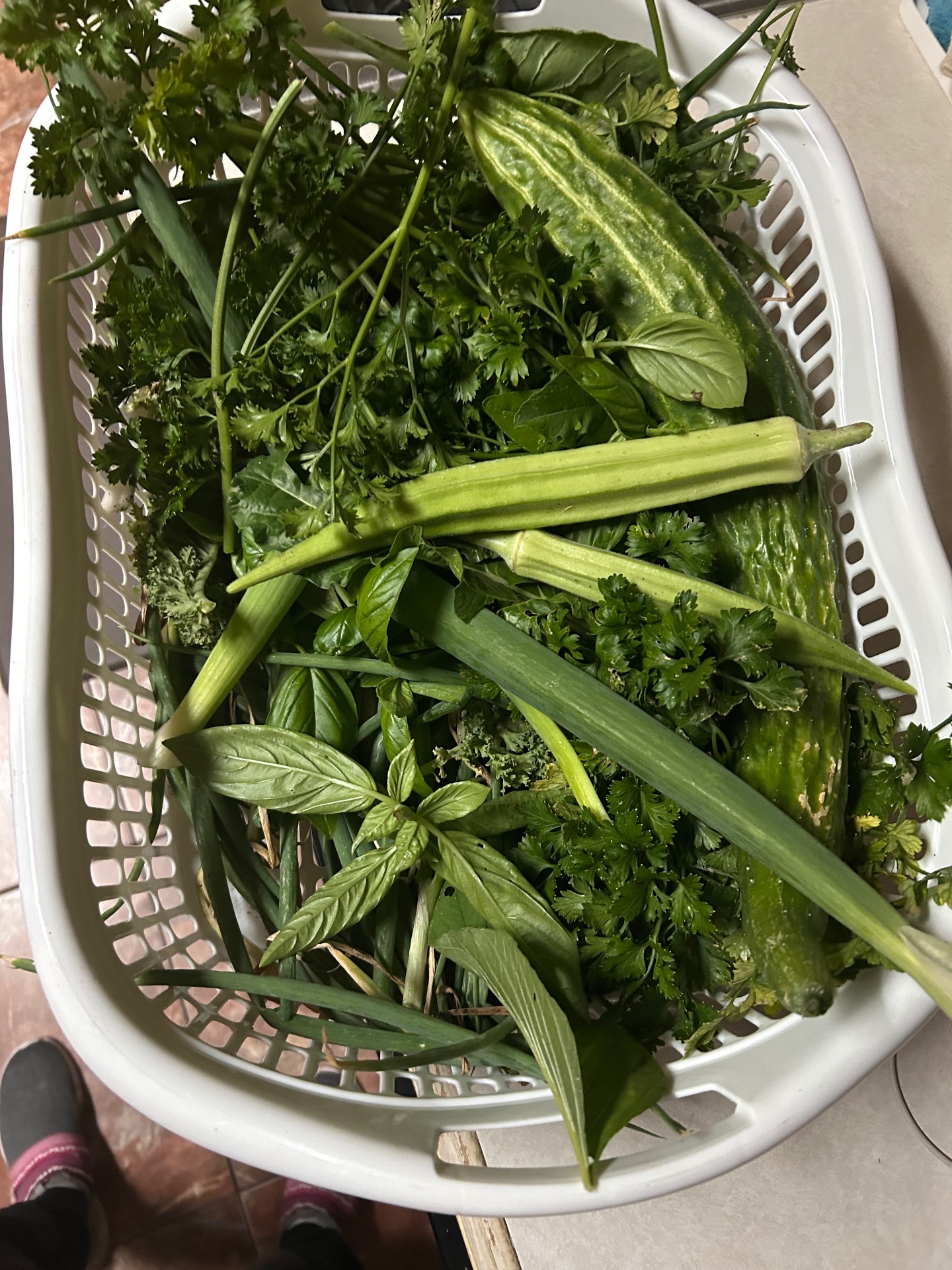 Bitter melon, okra, basil, parsley, scallions — straight from the garden basket to the cutting board.