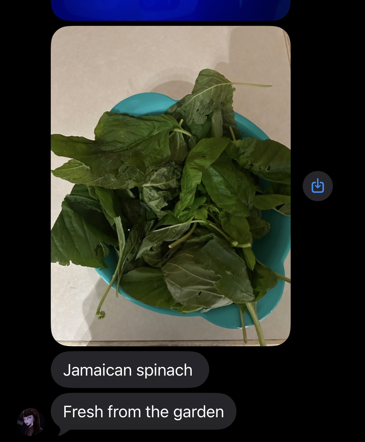 Jamaican callaloo spinach, just-picked — iron, folate, and the medicine of growing your own.